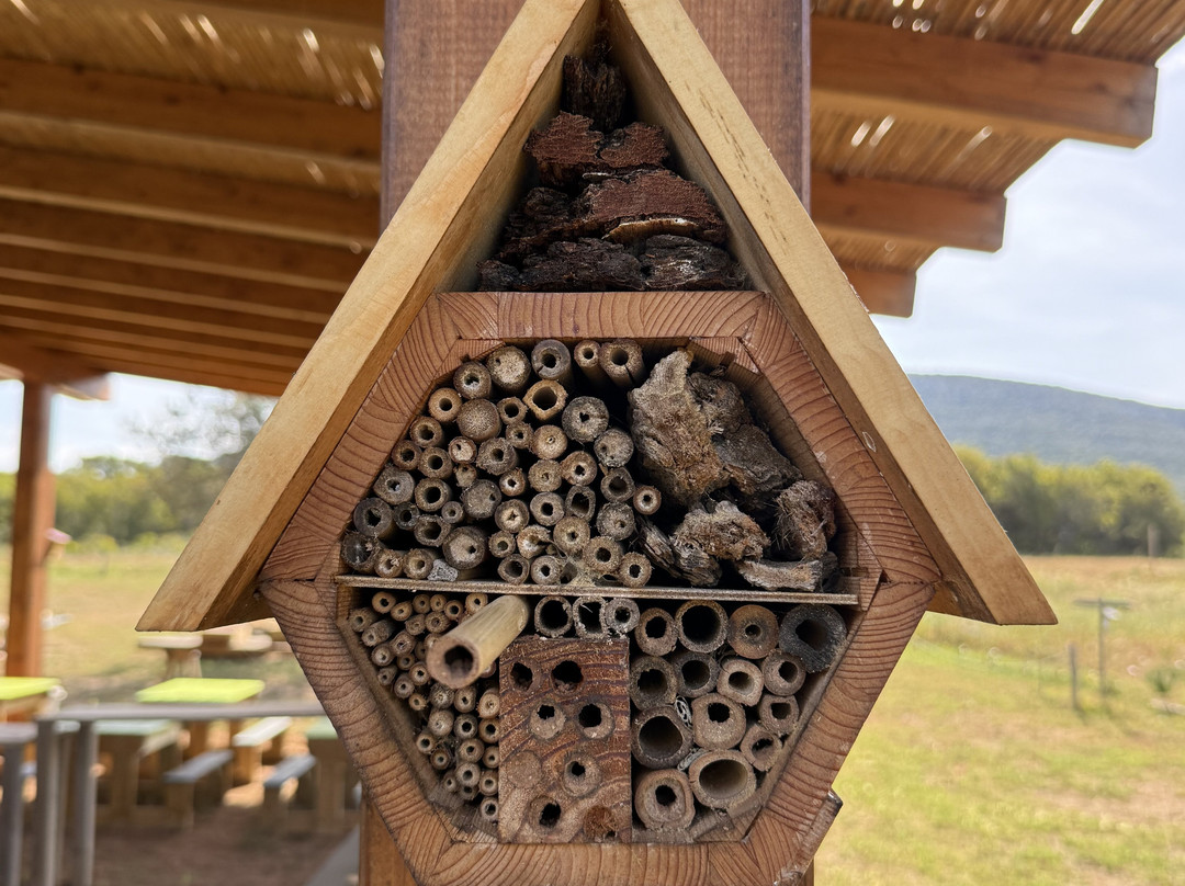 Bee Garden Alghero-阿尔盖罗必去景点