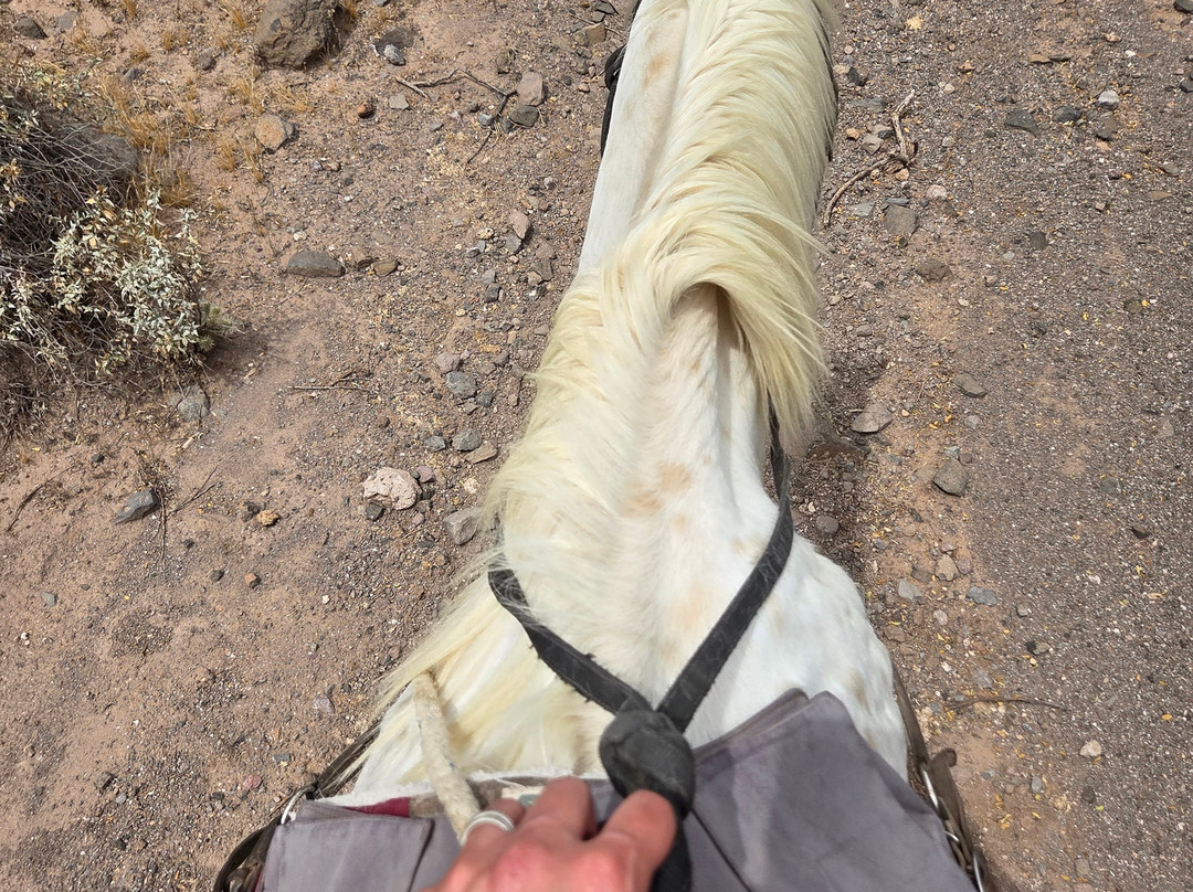 Western Destinations Canyon Creek Ranch - Tours-凤凰城必去景点