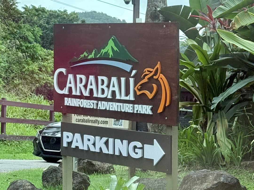 Rainforest & Ocean View Inn at Hacienda Carabali主图