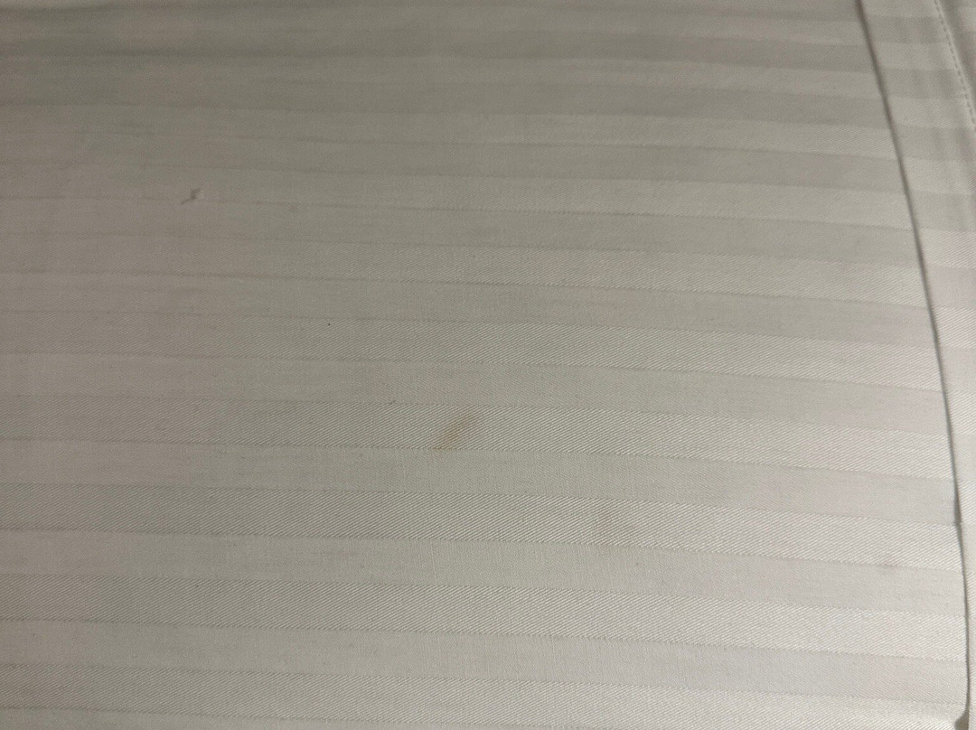 柴郡酒店主图