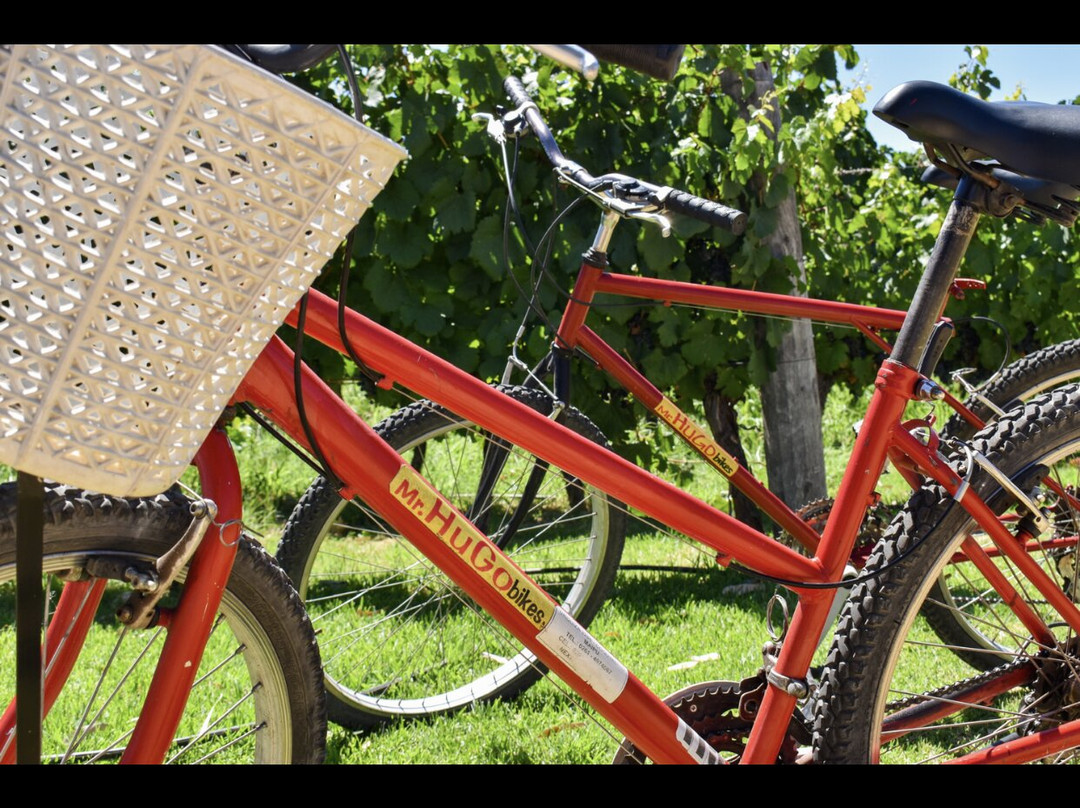 Mr. Hugo Bikes-Maipu必去景点