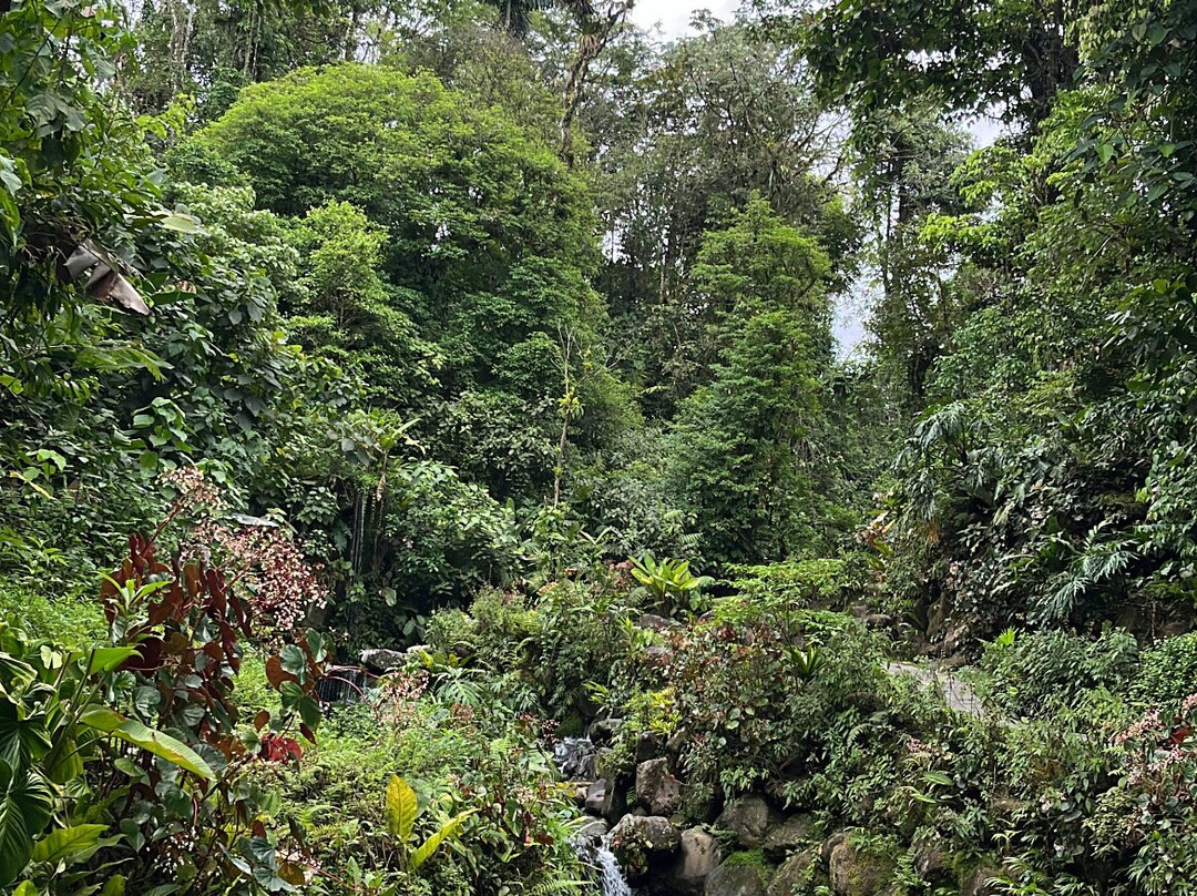 Kurú Natural Springs-福德圣卡洛斯必去景点