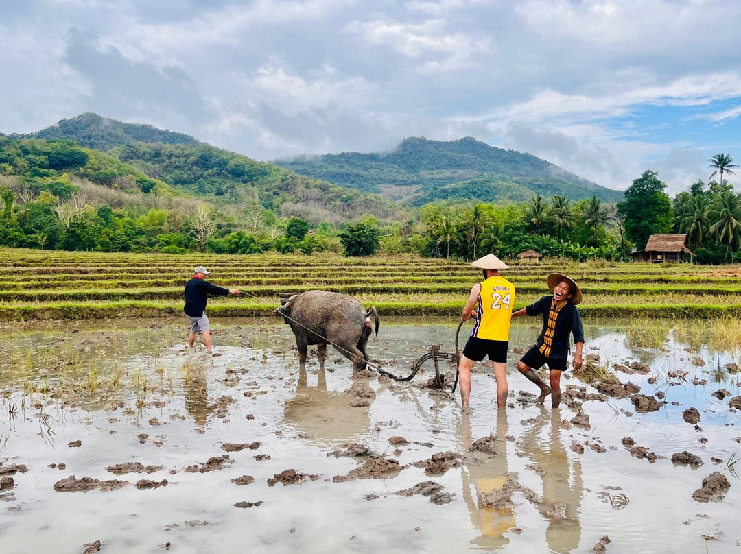 Living Land农场体验之旅-琅勃拉邦必去景点