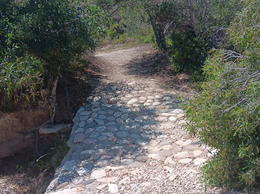 Aphrodite's Rock-库克利亚必去景点