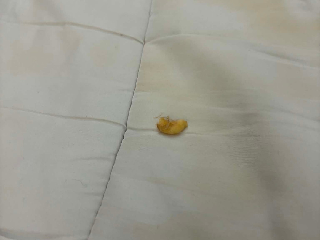 东米德兰机场茱莉斯酒店主图