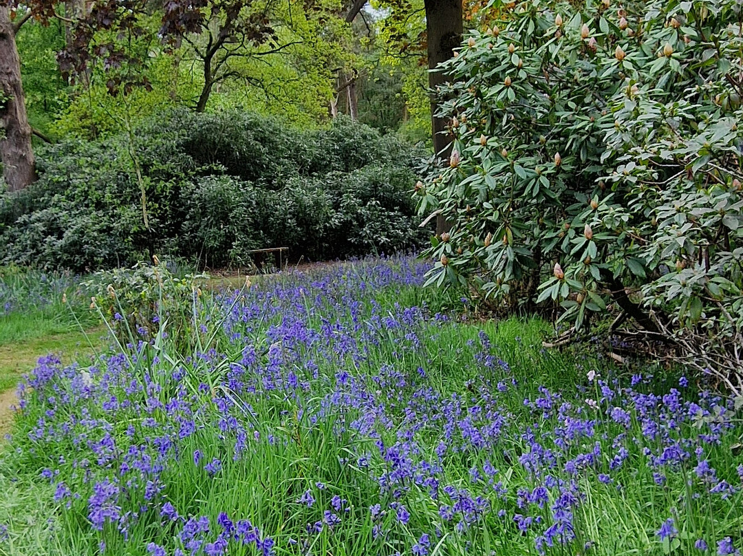 Stody Lodge Gardens-Melton Constable必去景点
