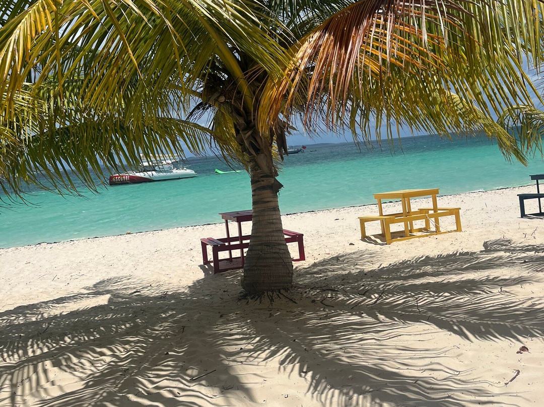 Scoobi Catamaran Charters-Anse Marcel必去景点