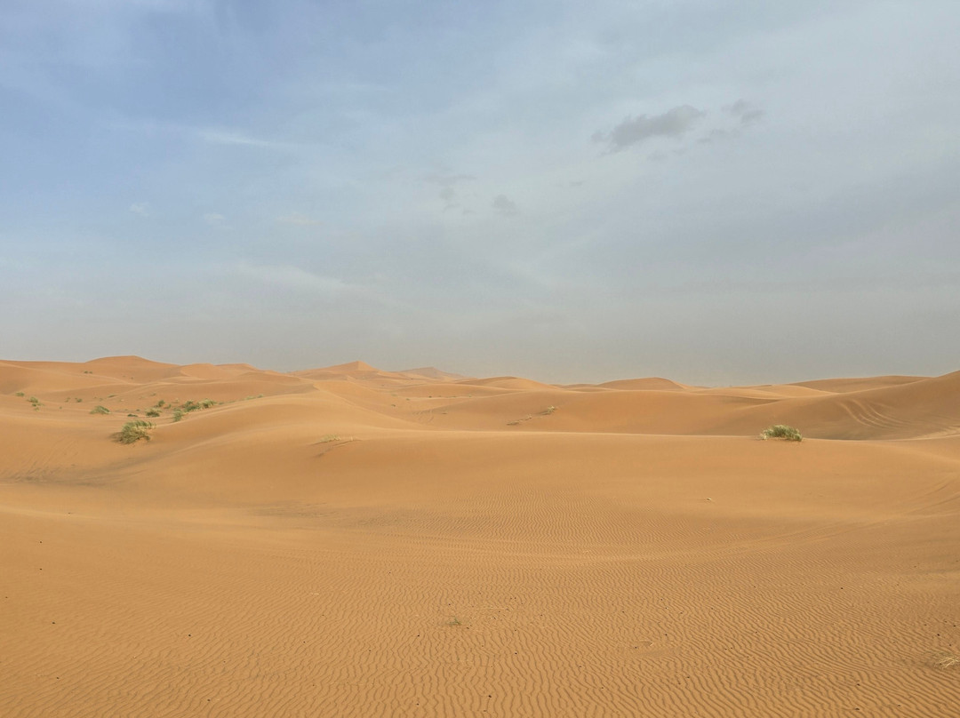 Redouane Sahara Tours 4x4-伊拉悉迪亚必去景点