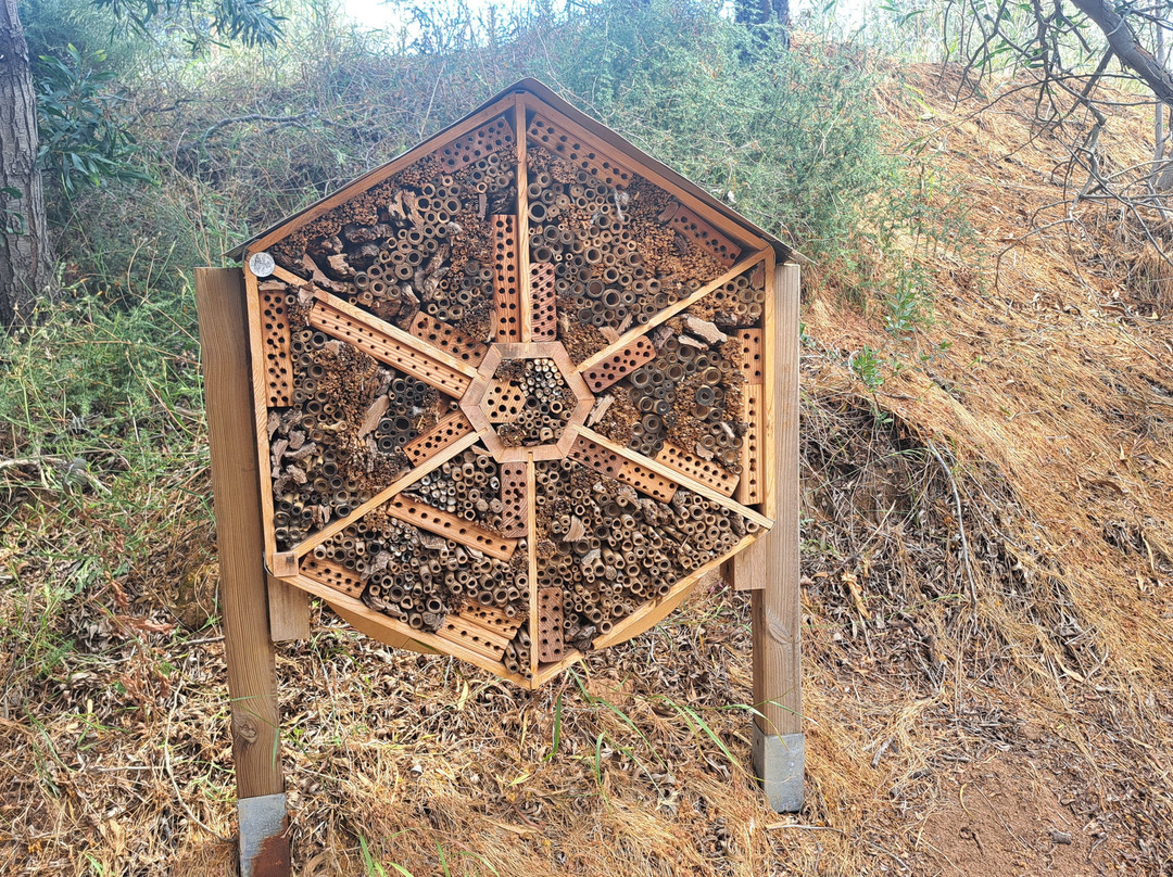 Bee Garden Alghero-阿尔盖罗必去景点