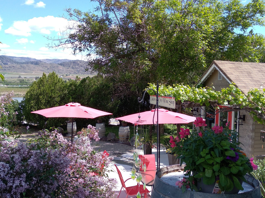 Castoro De Oro Estate Winery-Oliver必去景点