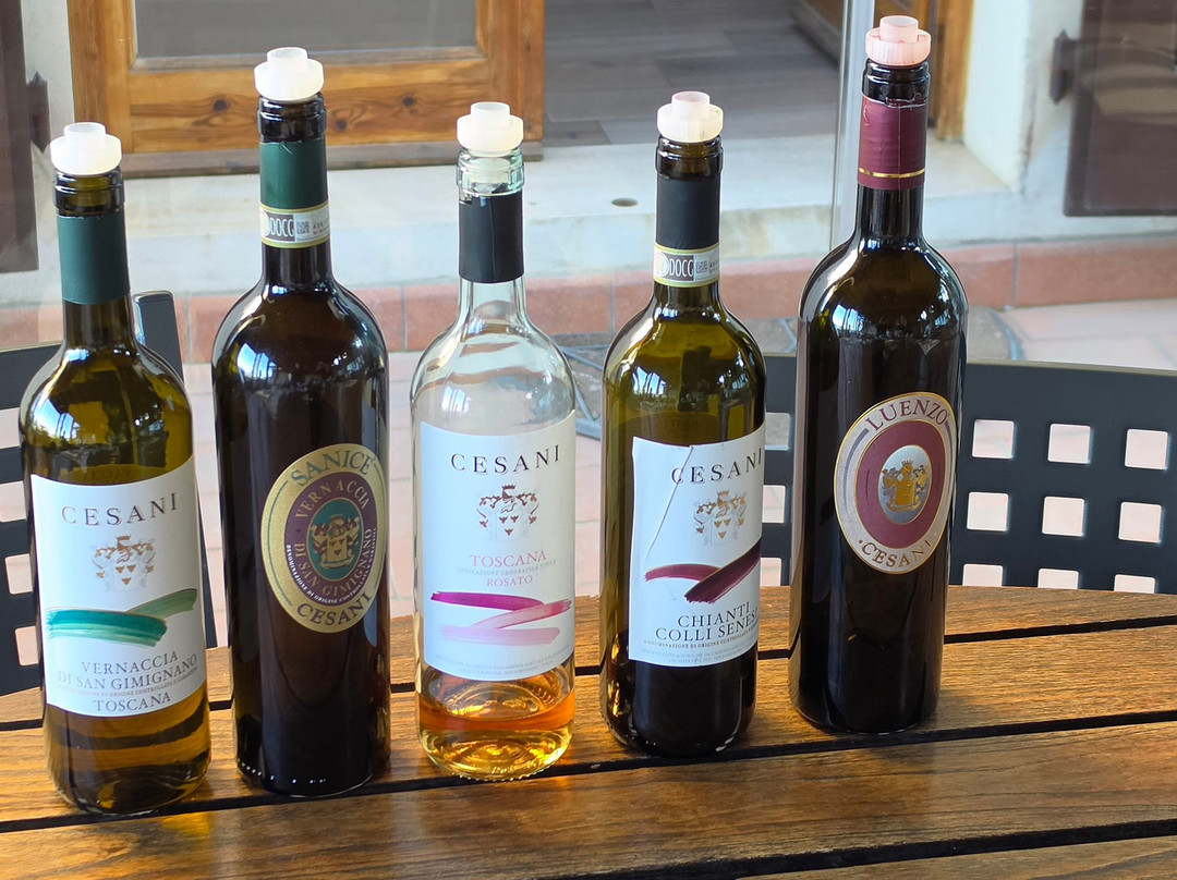 Agriturismo Cesani-圣吉米尼亚诺必去景点