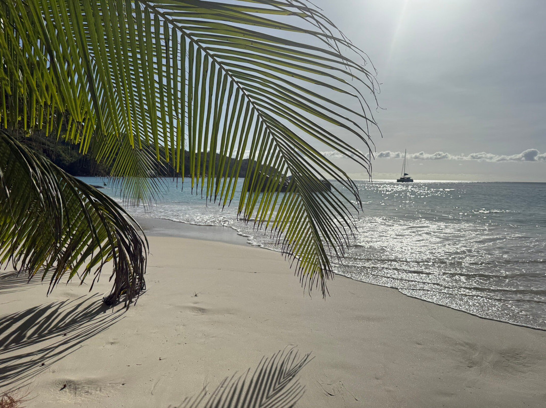 Grand Anse beach-马埃大安塞区必去景点