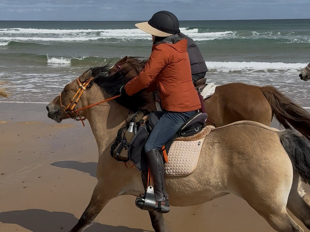 Highlands Unbridled Trail Riding & Trekking Centre-Aboyne必去景点