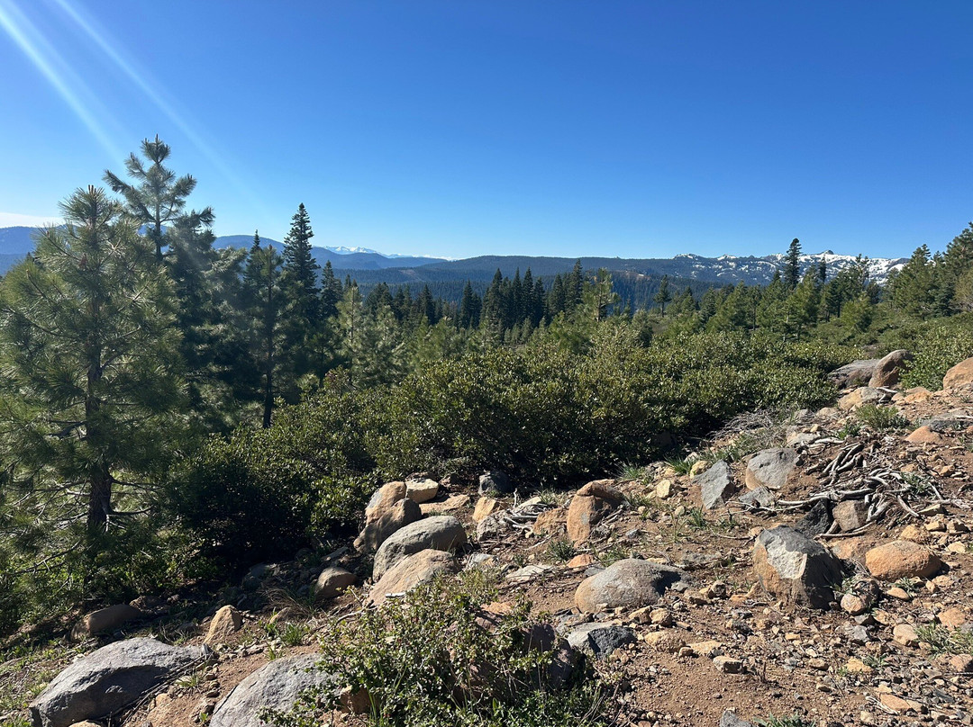 Tahoe Donner-特拉基必去景点