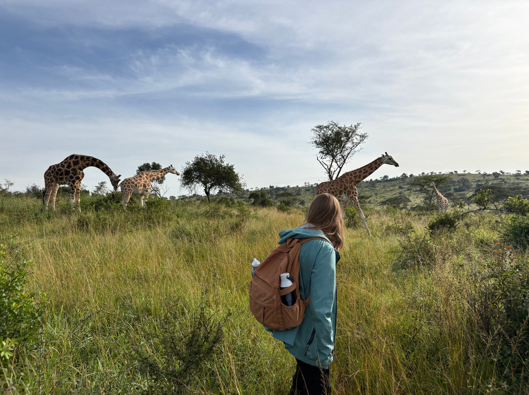 Emerald of Africa Safaris-布恩迪难以穿越的国家公园必去景点