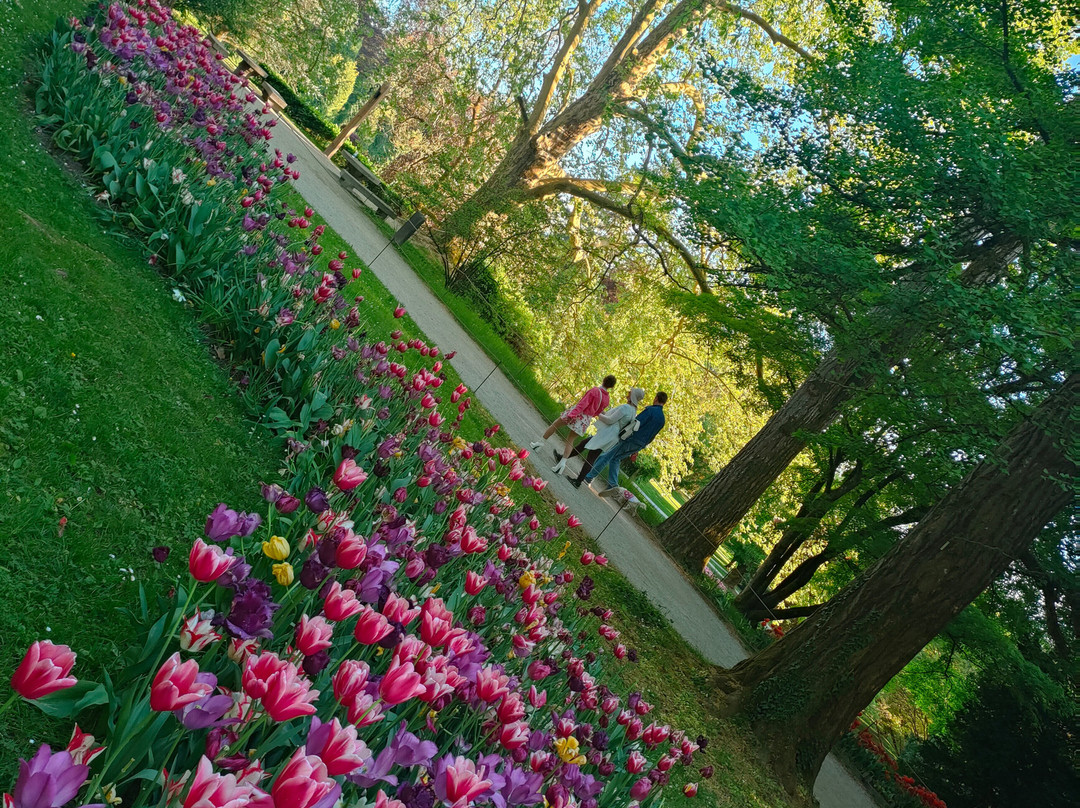 Arboretum Volčji Potok-Radomlje必去景点