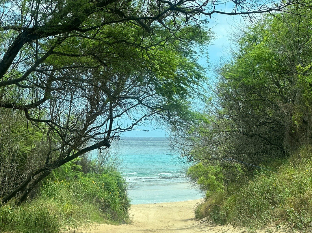 Polihale State Park-威美亚必去景点