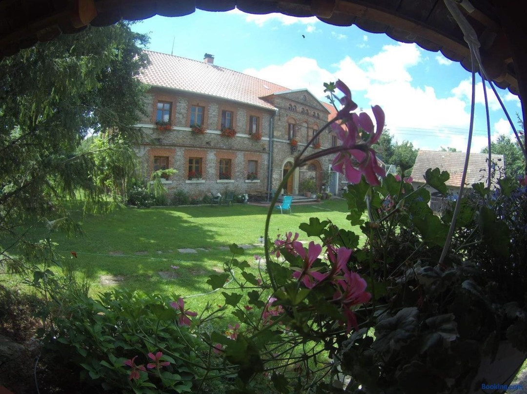 Polana