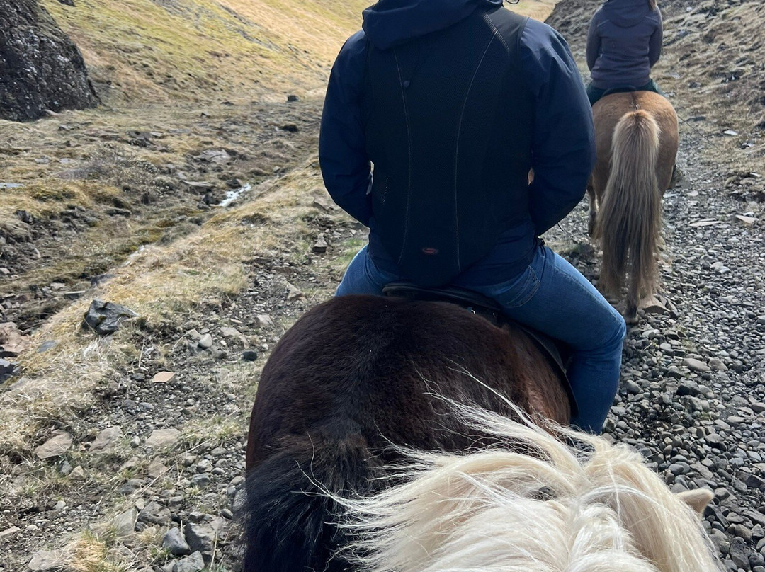 Riding Tours South Iceland-Fludir必去景点