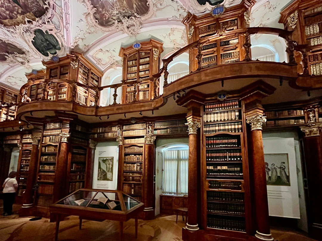 圣加仑修道院图书馆（Stiftsbibliothek）-圣加仑必去景点