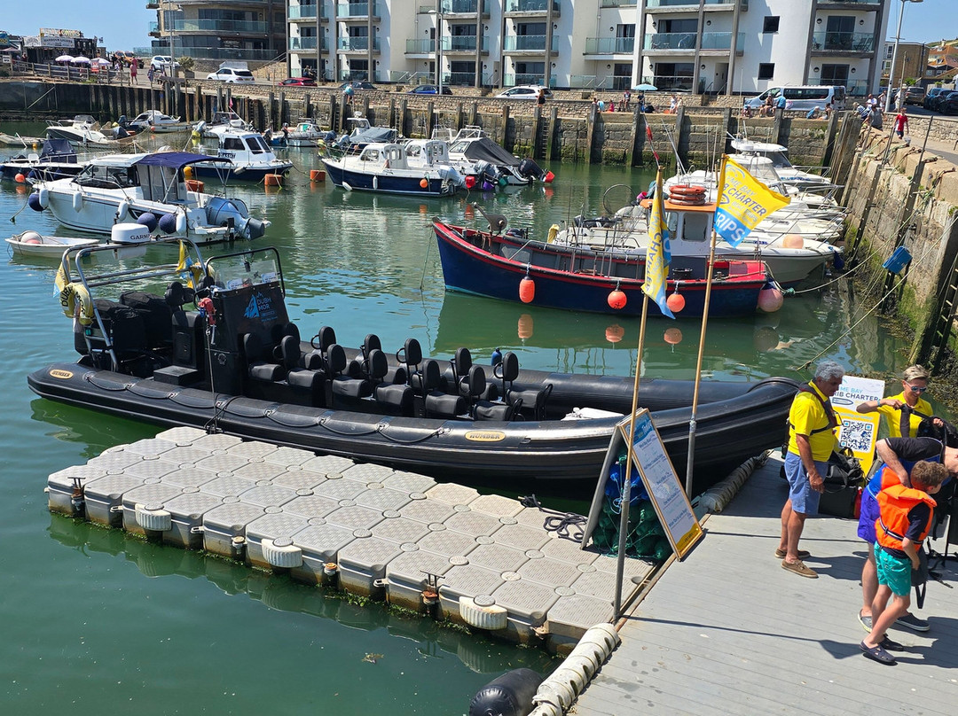 Lyme Bay Rib Charter-West Bay必去景点