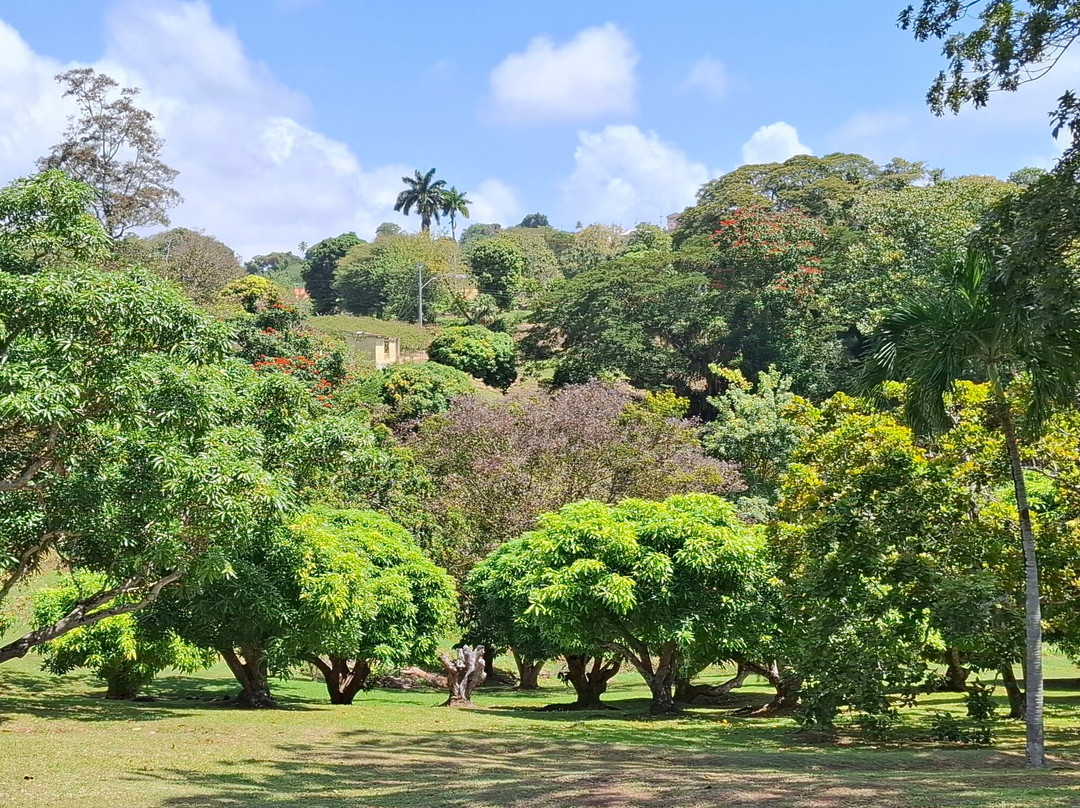 Scarborough Botanical Garden-斯卡伯勒必去景点