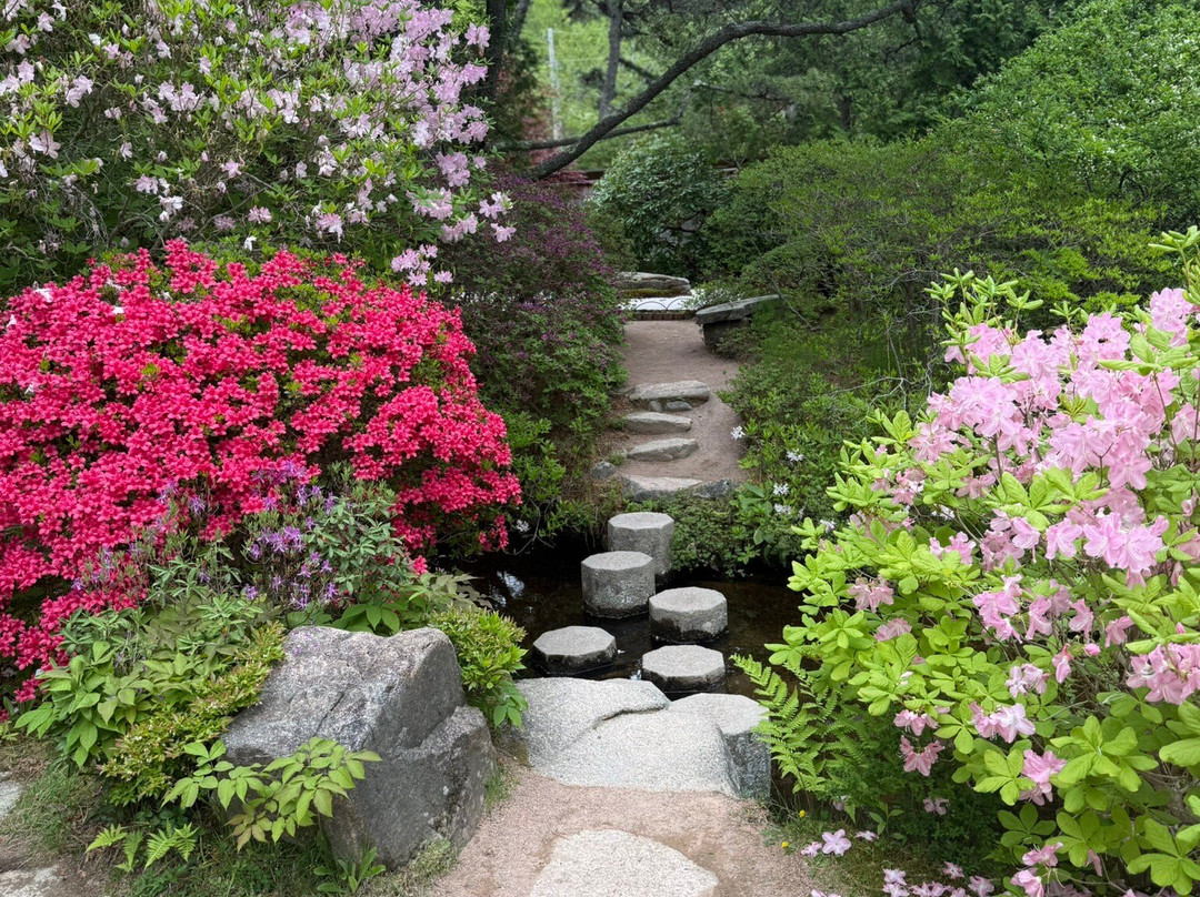Asticou Azalea Garden-Northeast Harbor必去景点