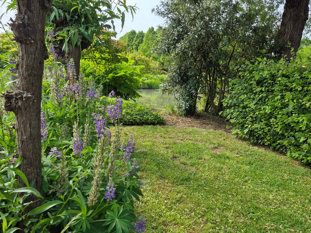 Bloemenpark Appeltern-Appeltern必去景点