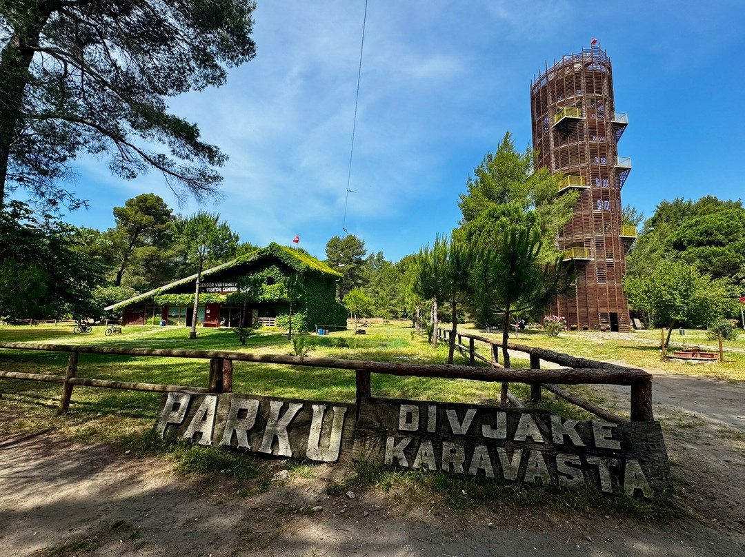 Laguna e Karavastasë-Divjake必去景点