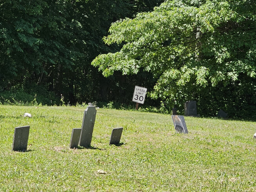 Trinity AME Zion Church and Cemetery-Delta必去景点
