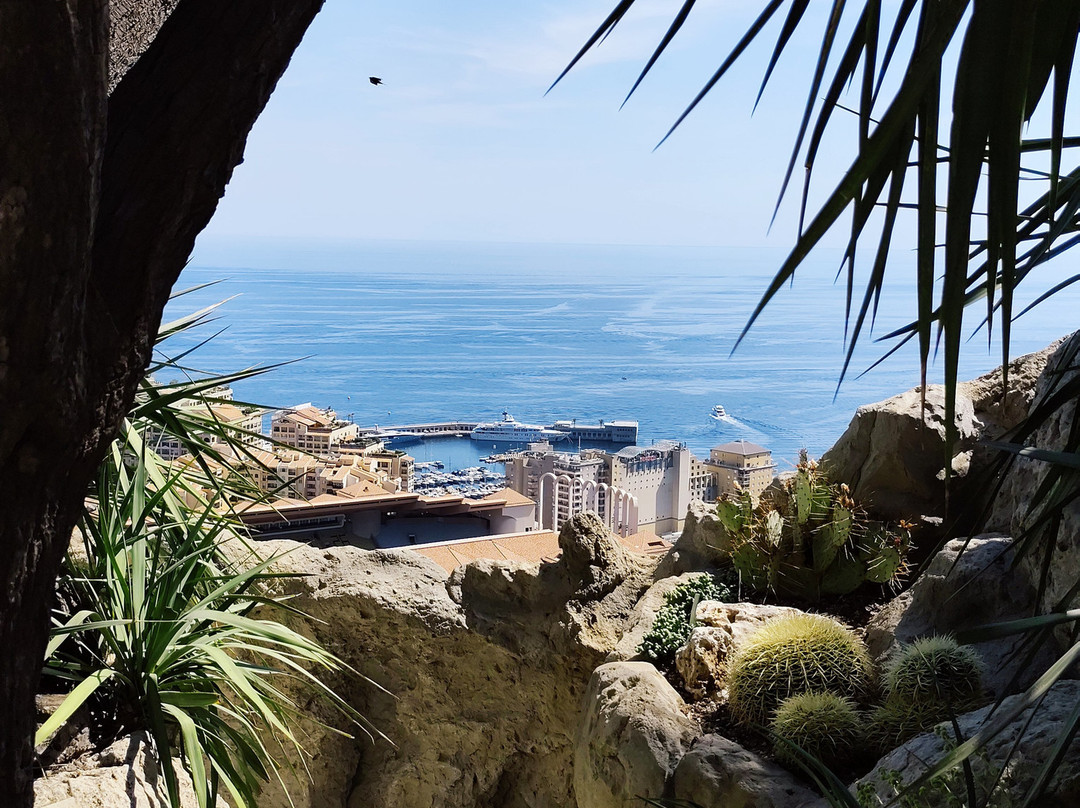 Jardin Exotique de Monaco-摩纳哥城必去景点