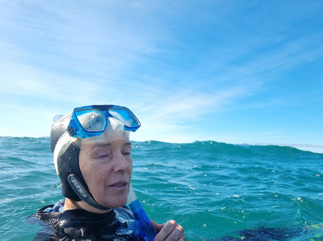 Pleasure Divers Magnetic Island-Arcadia必去景点