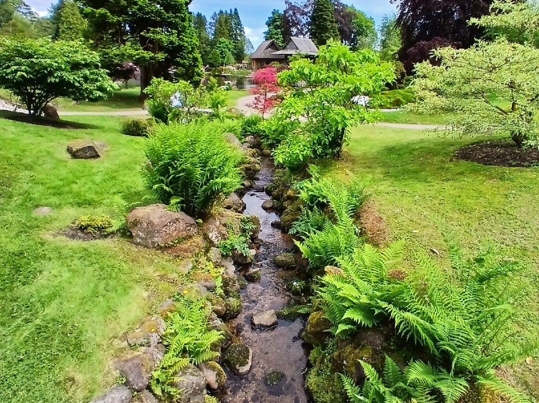 The Japanese Garden At Cowden-Dollar必去景点