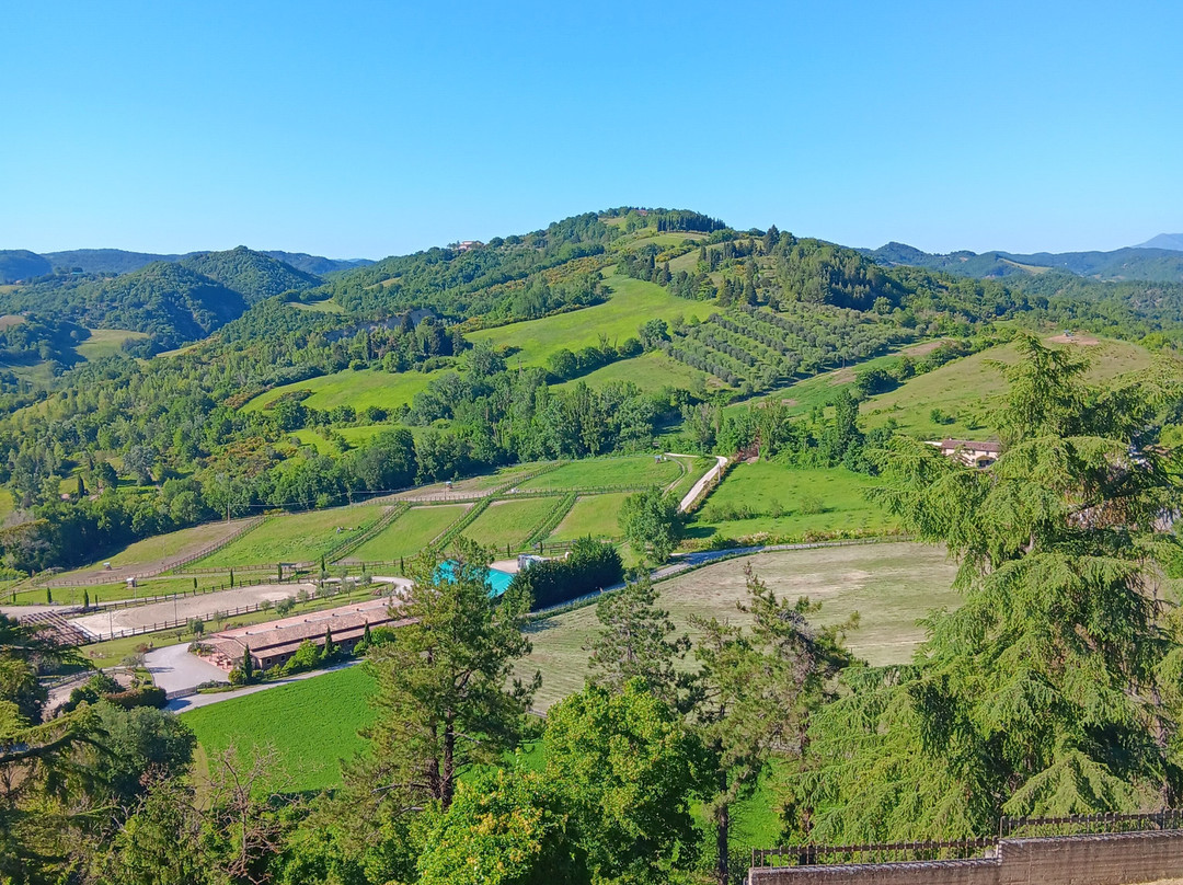 Complesso Museale di San Francesco-Montone必去景点