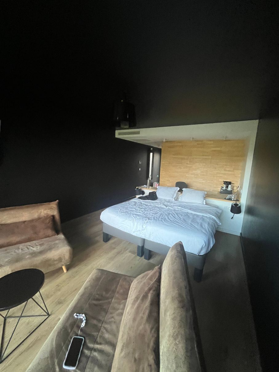 鲍利厄庄园，Singuliers Hotels-客卧