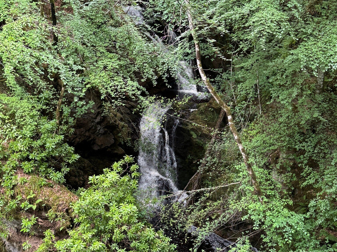Big Burn Walk-Golspie必去景点