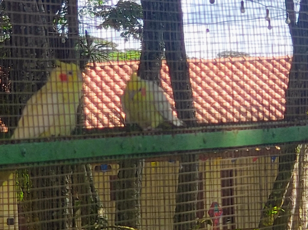 Fazenda Sol Nascente