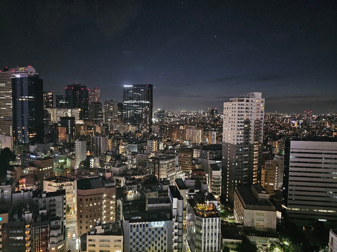 新宿格拉斯丽酒店主图