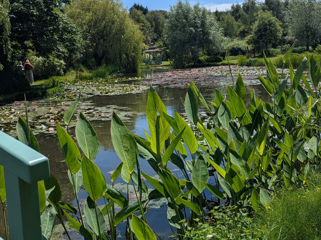 Bennetts Water Gardens-Chickerell必去景点