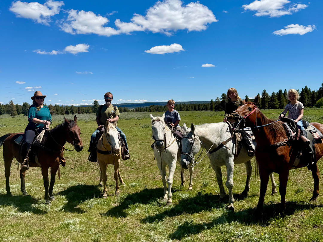 Yellowstone Horses - Eagle Ridge Ranch-艾兰帕克必去景点