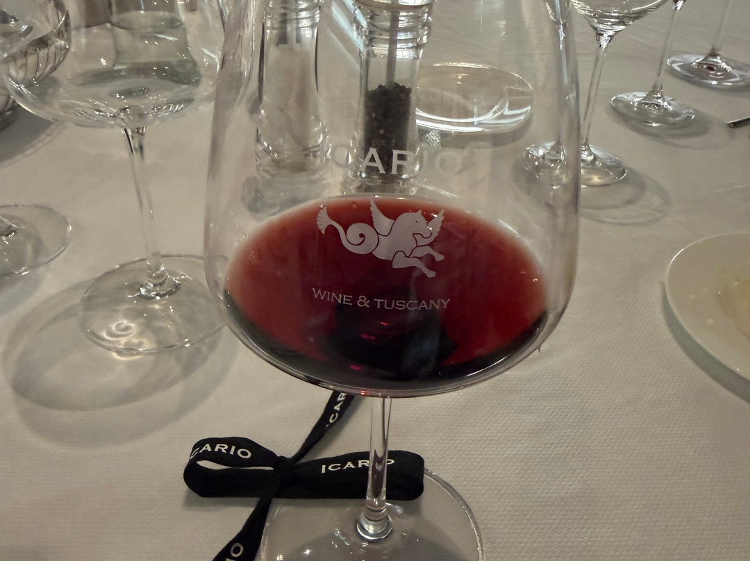 Icario Winery-蒙特普尔恰诺必去景点