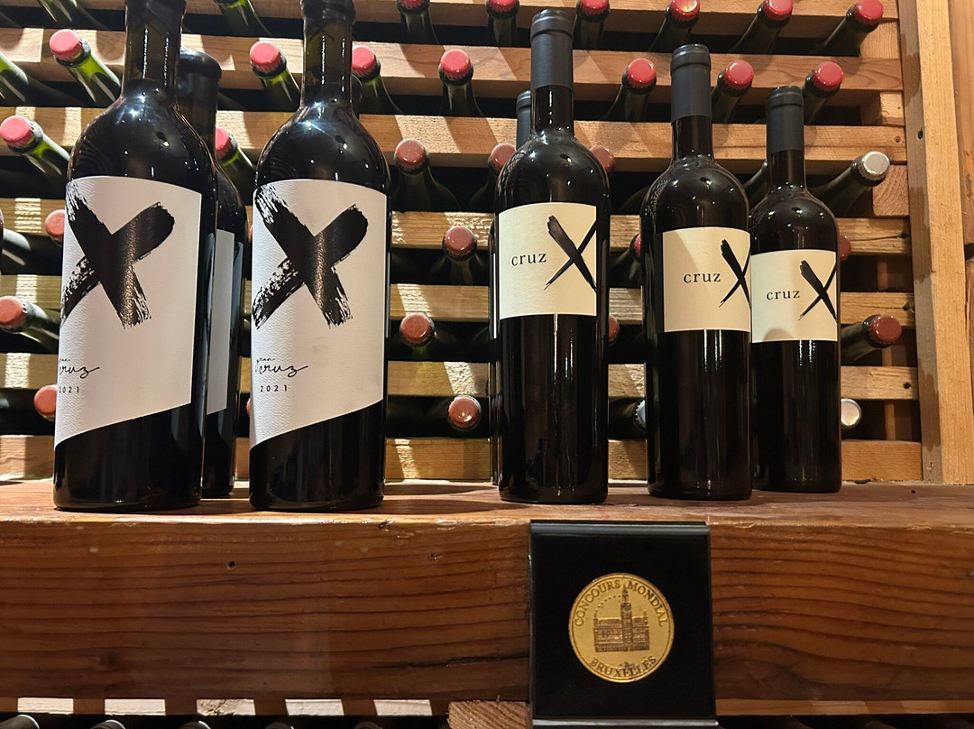 Vinos Cruz-San Antonio de las Minas必去景点