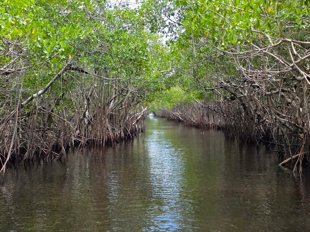 Captain Jack's Airboat Tours-大沼泽地必去景点