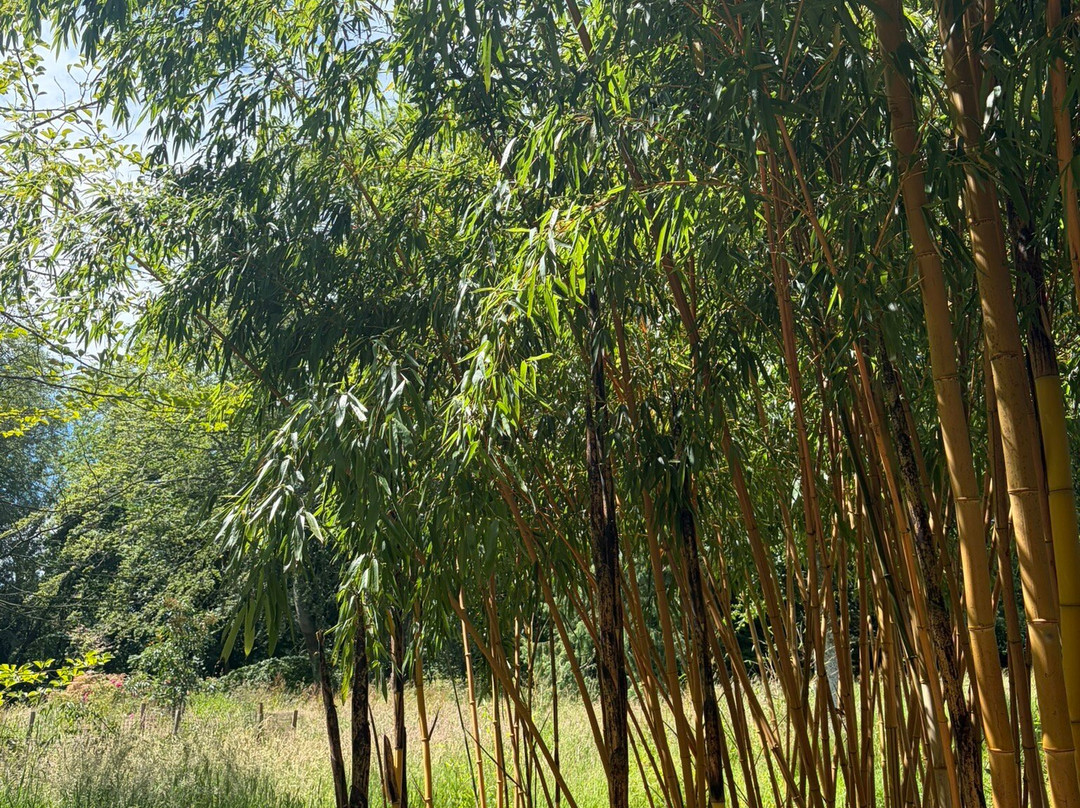 Batsford Arboretum-莫顿因马什必去景点