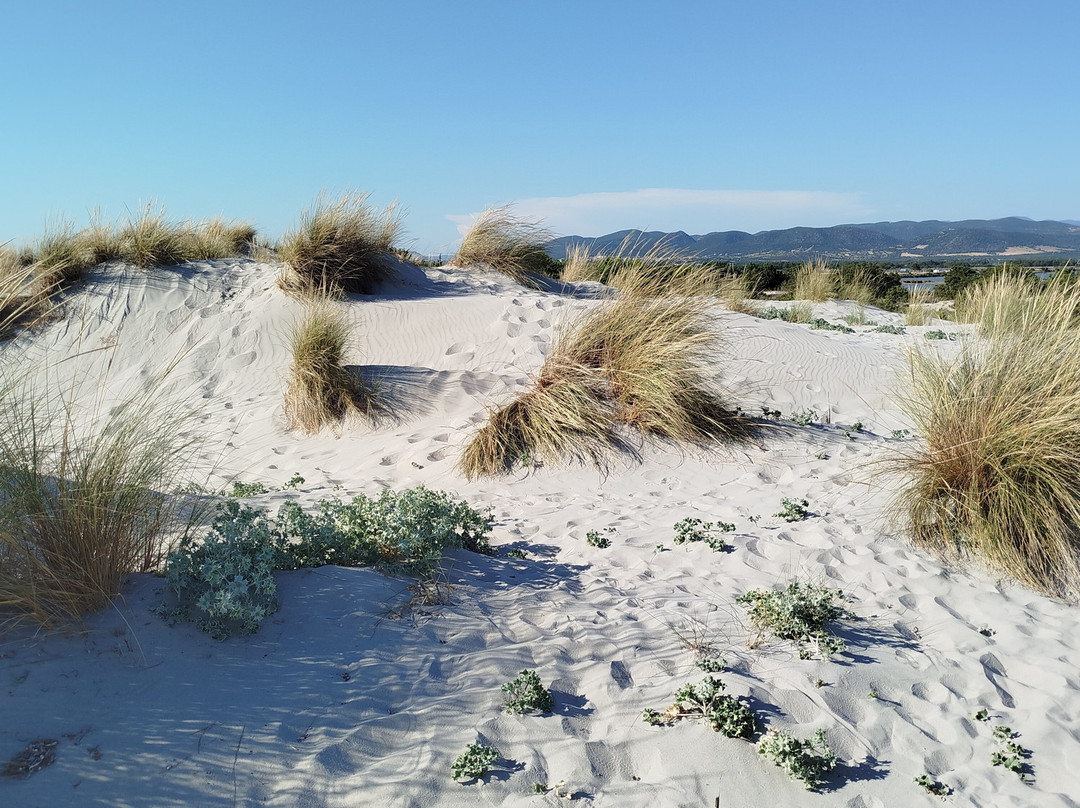 Bahia Porto Pino Beach-Sant'Anna Arresi必去景点