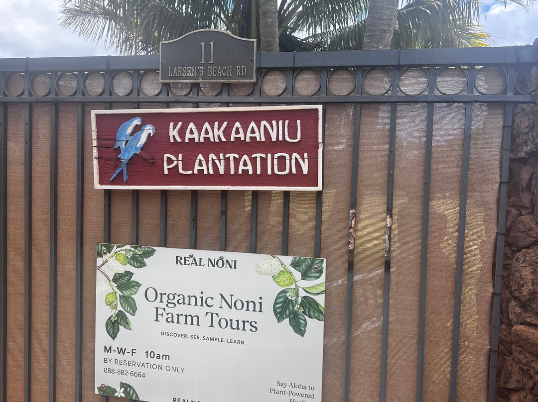 Hawaiian Organic Noni-基拉韦厄必去景点