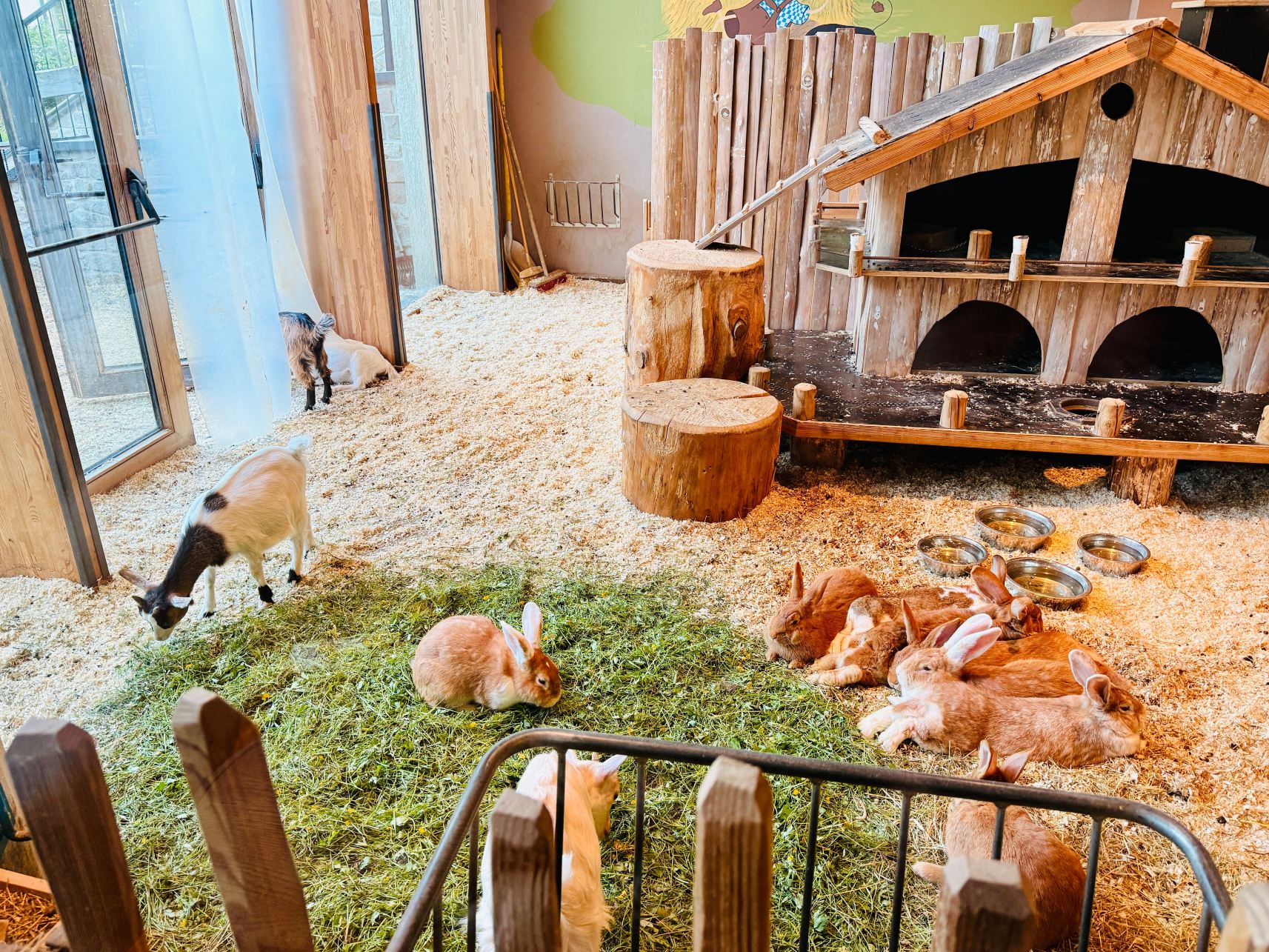 Dachsteinkönig - Familux Resort-旅行者