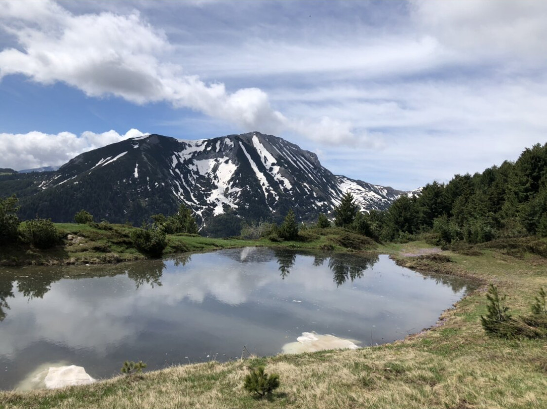 TREK BALKAN LLC-普里什蒂纳必去景点
