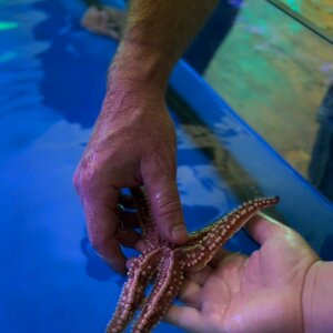 Oceans of Discovery Experience-克罗斯黑文必去景点