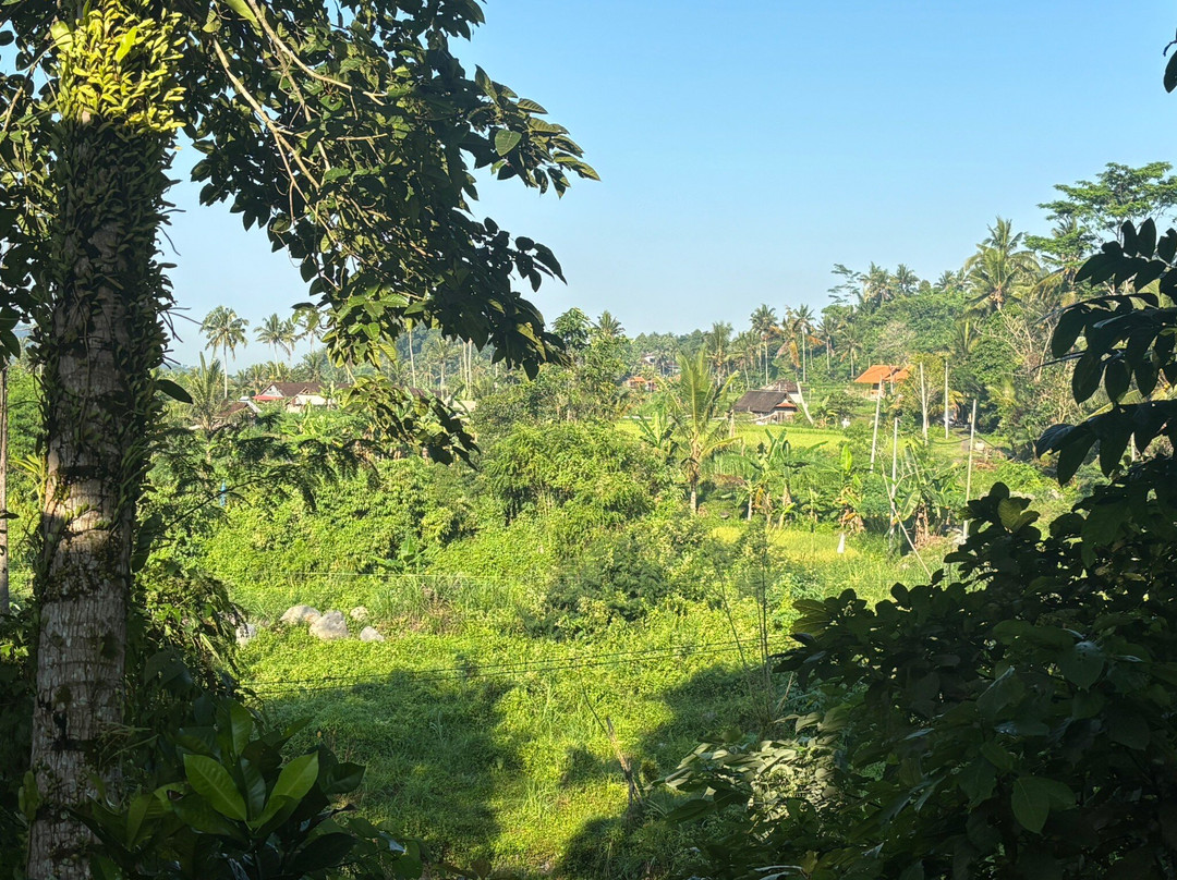 Anandinii Organic Garden & Kitchen-席德门必去景点